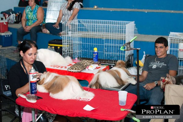 Clique sobre a foto para fechar